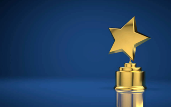 Picture of an award in the shape of a star